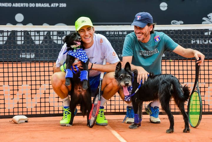 Brazil Open: Who's a good dog? The tennis ball retrievers at Sao Paulo for 2nd straight year