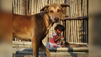 Holi 2017: How to ensure the festival of colours is happy for animals too