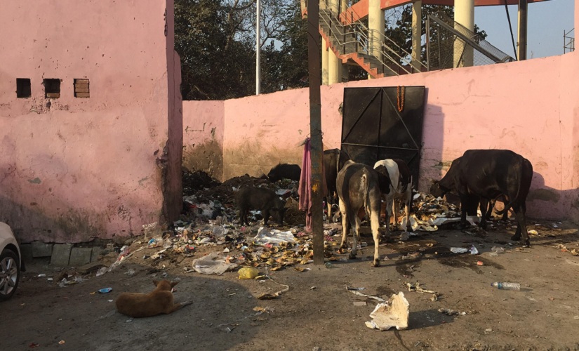 UP Election 2017: Will BJP suffer in Varanasi with millenials unhappy with MP Narendra Modi? UP Election 2017: Will BJP suffer in Varanasi with millenials unhappy with MP Narendra Modi?