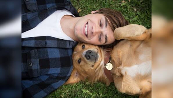 A Dog’s Purpose movie review: A feel-good film for those who're fond of pets