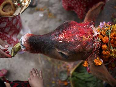 Uttar Pradesh’s anti-abattoir campaign could cripple prime revenue, job generating industries Uttar Pradesh’s anti-abattoir campaign could cripple prime revenue, job generating industries