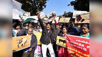 Justifying jallikattu by citing Thirukkural is self-defeating: The Tamil text didn't condone animal cruelty
