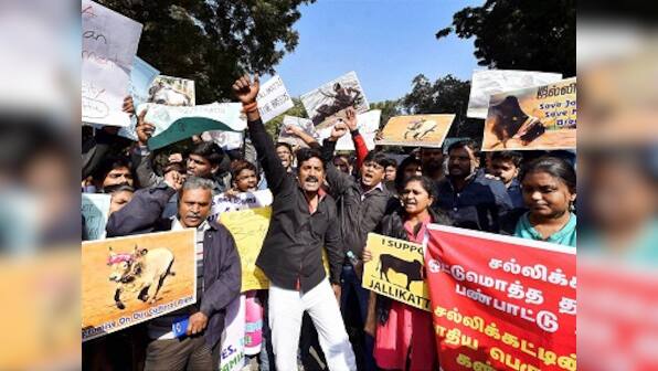 Justifying jallikattu by citing Thirukkural is self-defeating: The Tamil text didn't condone animal cruelty