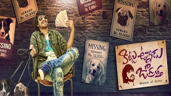 Kittu Unnadu Jagratha movie review : Raj Tarun, Prudhvi's comic touch saves the 'day'