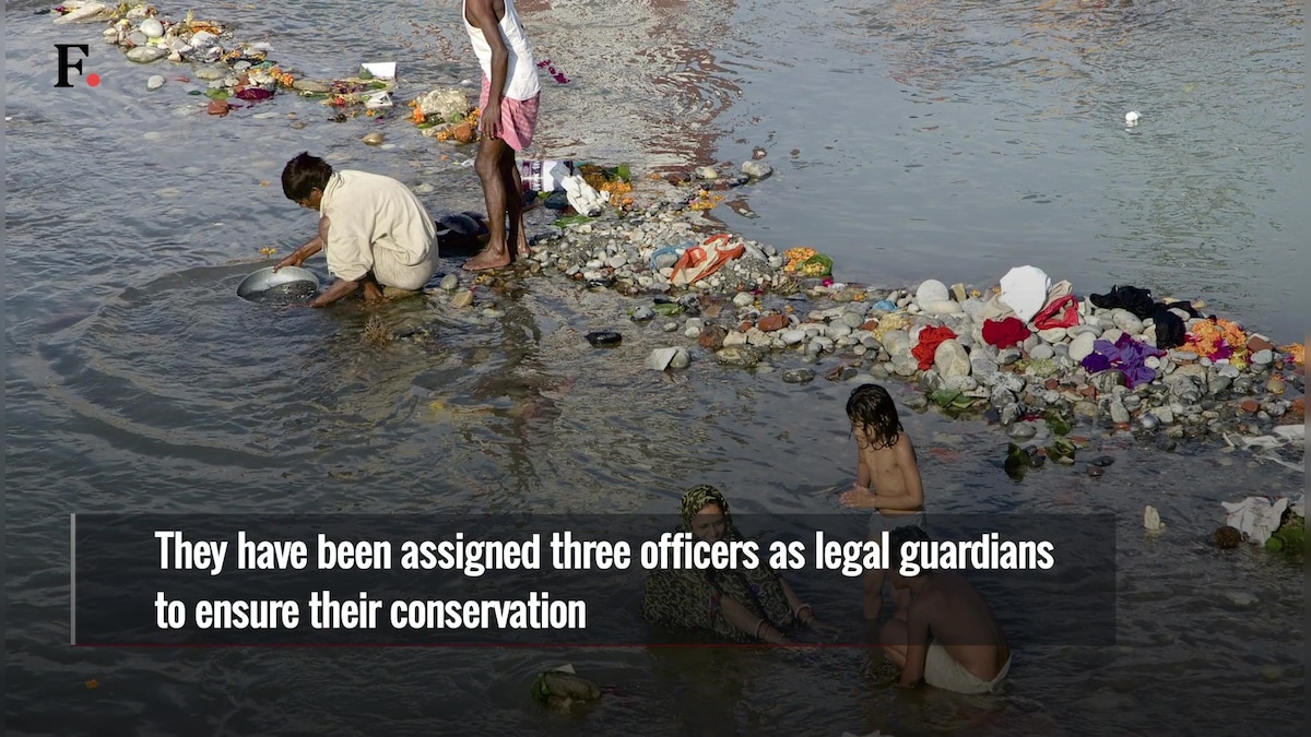 Watch India S Holy Rivers Ganga And Yamuna Now Living Entities To Be Cleaned Soon Firstpost