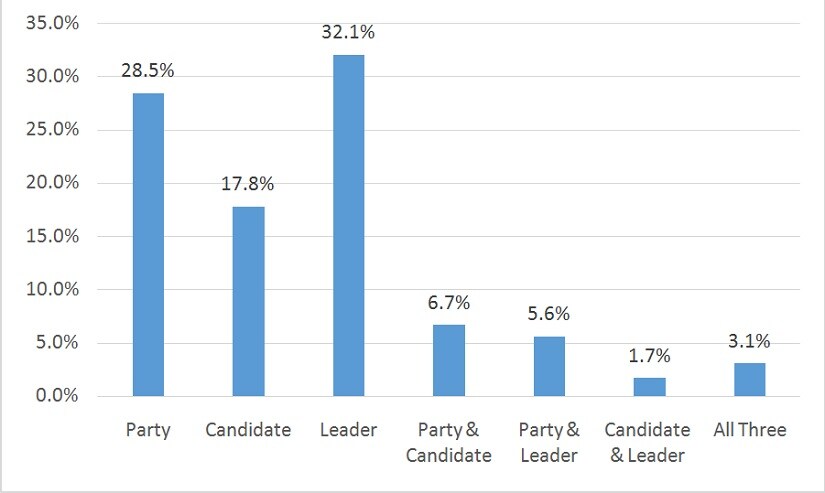 What mattered to you more while deciding whom to vote for in this election?