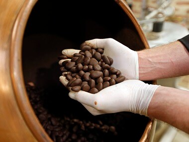 Jackfruit seeds could substitute cocoa beans to make chocolate