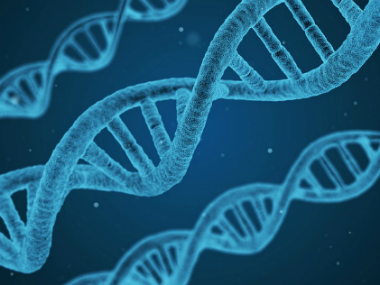 Indian scientists identify gene linked to psoriasis Indian scientists identify gene linked to psoriasis