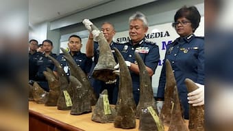 Malaysia seizes $3.1 million worth of rhino horns being smuggled illegally from Qatar