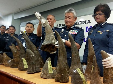 Malaysia seizes $3.1 million worth of rhino horns being smuggled illegally from Qatar Malaysia seizes $3.1 million worth of rhino horns being smuggled illegally from Qatar