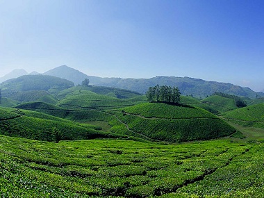 As Kerala's Munnar mission becomes a damp squib, NGT steps in to take on the state government As Kerala's Munnar mission becomes a damp squib, NGT steps in to take on the state government