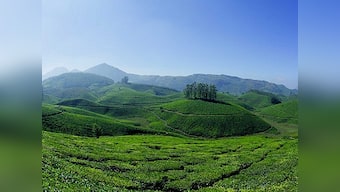 As Kerala's Munnar mission becomes a damp squib, NGT steps in to take on the state government