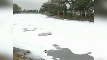 NGT ruling on Bellandur Lake: Election in 2018 puts ruling Congress under greater pressure