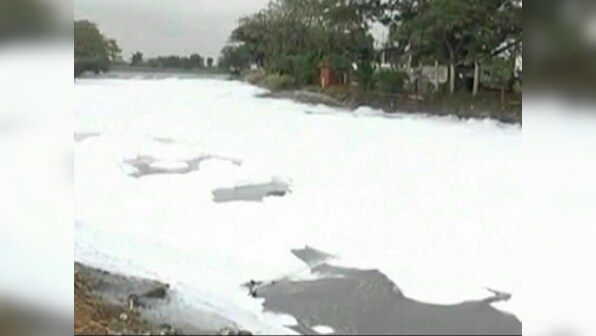 National Green Tribunal summons top Karnataka govt officials over cleaning of Bellandur Lake