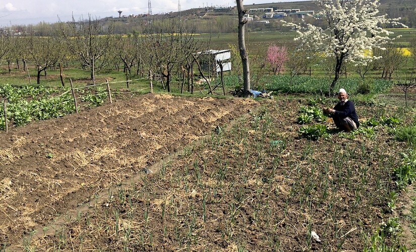 Dar in his field.