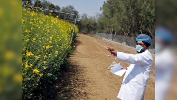 NITI Aayog supports local GM crops to prevent foreign monopolies