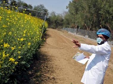 NITI Aayog supports local GM crops to prevent foreign monopolies