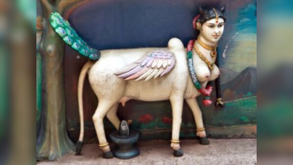 Cow slaughter ban fuelled by religious reasons, but unless we stop our hypocrisy, problems will persist
