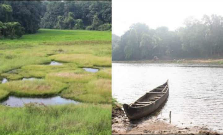 South India's Drought Part 7: Kerala's efforts to revive water bodies bear fruit at grassroot level