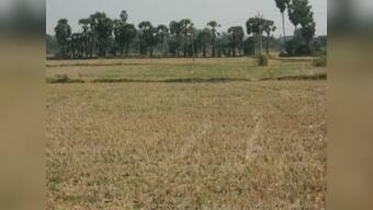 South India's Drought Part 3: Parched lands in Nagapattinam lead to distress migration
