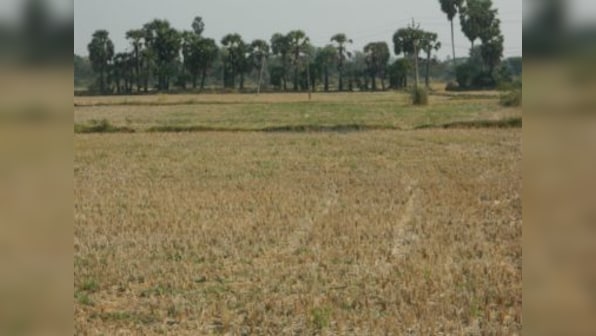 South India's Drought Part 3: Parched lands in Nagapattinam lead to distress migration