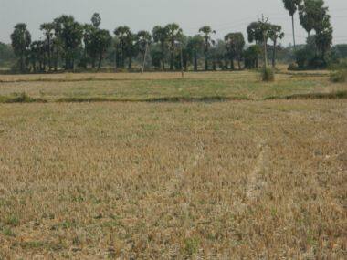 South India's Drought Part 3: Parched lands in Nagapattinam lead to distress migration