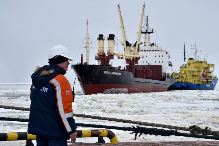 Watch: New shipping routes threaten Arctic ecosystem