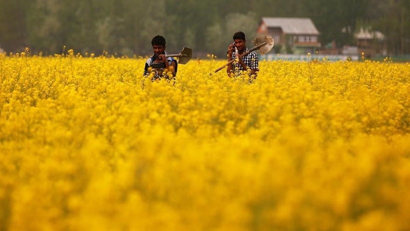 Representational image. Reuters