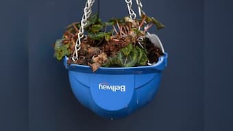 Indoor plants: How nature's air purifiers can help deionise your house, cure 'sick home' syndrome
