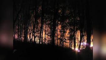 Drought in the Western Ghats Part 2: How deforestation saved ecologically-sensitive hills in Kerala