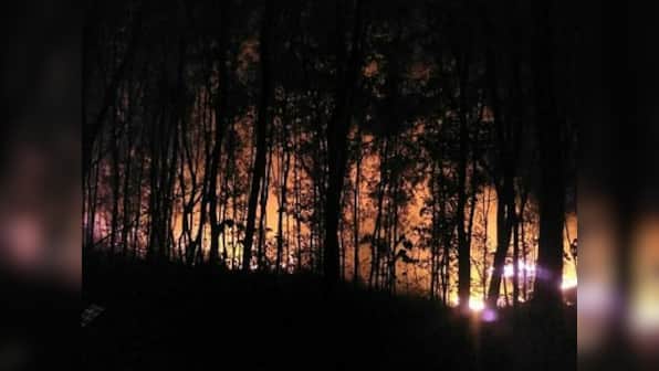 Drought in the Western Ghats Part 2: How deforestation saved ecologically-sensitive hills in Kerala