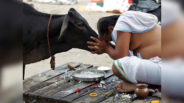 Cow slaughter ban: The Far Right's obsession is a 20-year-old template of political leverage
