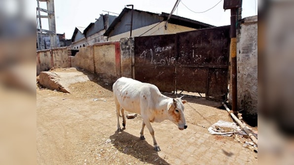 Meghalaya BJP leaders threaten to quit over new cattle trade rules
