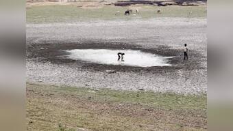 Drought in the Eastern Ghats: Man-animal conflicts rise in Andhra Pradesh, Telangana over receding groundwater