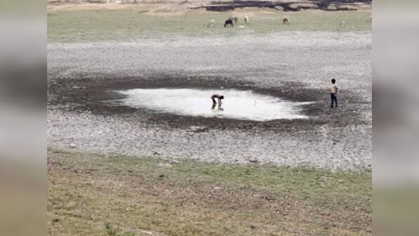 Drought in the Eastern Ghats: Man-animal conflicts rise in Andhra Pradesh, Telangana over receding groundwater