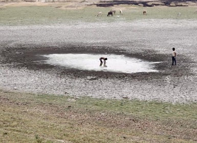 Drought in the Eastern Ghats: Man-animal conflicts rise in Andhra Pradesh, Telangana over receding groundwater Drought in the Eastern Ghats: Man-animal conflicts rise in Andhra Pradesh, Telangana over receding groundwater