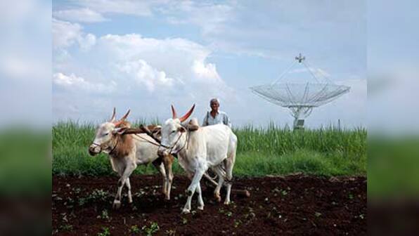 Maharashtra farmers to go on strike from 1 June to draw govt's attention to their problems