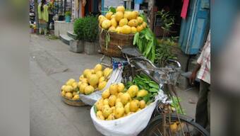 New variety of mangoes named after Uttar Pradesh CM Yogi Adityanath