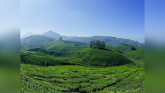 Kerala govt to unveil new 'green' tourism policy for plastic-free, hygienic destinations
