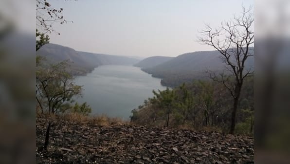 Drought in the Eastern Ghats: How one man struggles to help Nallamalla's monkeys survive the summer