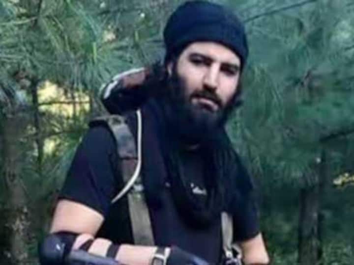 Sabzar Bhat encounter: Burhan Wani's close aide, he was top on the wanted list