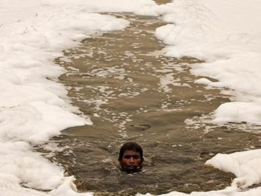 NGT seeks report from Delhi government over cattle blood flowing into Yamuna