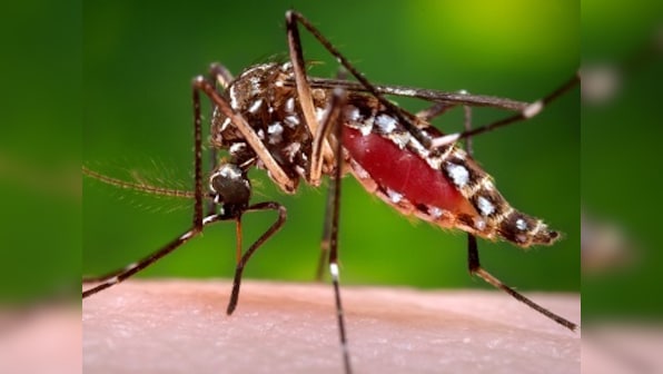 Ahmedabad Zika infections may have been hushed up due to Vibrant Gujarat Summit: Report