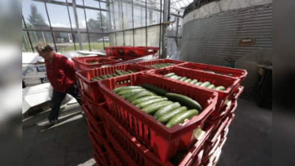 New WPI series: Tissue paper, cucumber, papad among new 199 items in basket