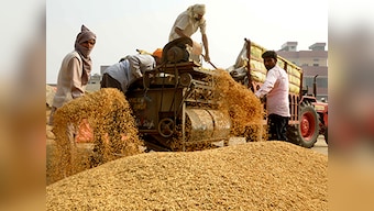 Waiting for loan waiver, Punjab farmers stop repaying banks; 30% accounts turn 'irregular'