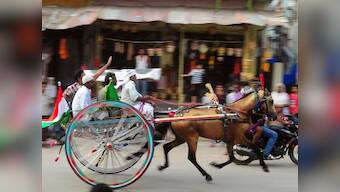 From race tracks to death: Behind glitzy equestrian sports lie a gruesome chain of cruelty