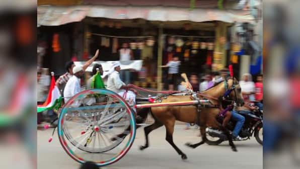 From race tracks to death: Behind glitzy equestrian sports lie a gruesome chain of cruelty