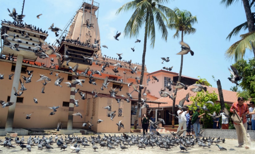Feeding of the pigeon is a custom practiced at the Jain Temple every day at 12 noon. Photo courtesy: Rajesh Kumar