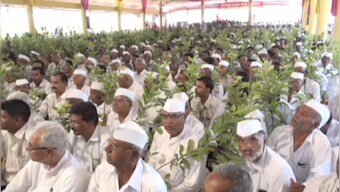 Watch: A family in Maharashtra gifted 4000 guava saplings to wedding guests