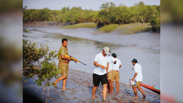 Sundarbans' wildlife at greater danger due to increased industrial activities, says IUCN report